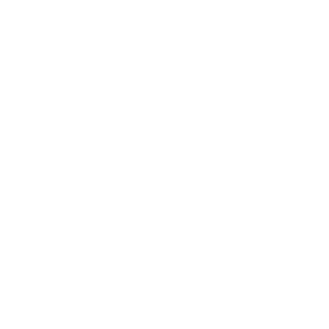mediwelt-immobilienwerte-logo-weiss